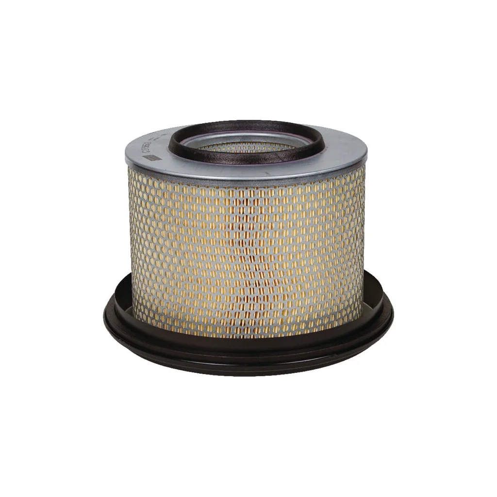 Element filtru aer C275853