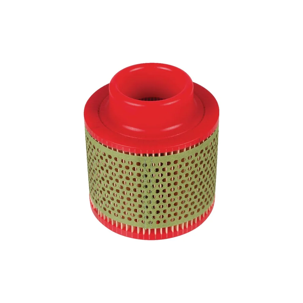 Element filtru aer C1131