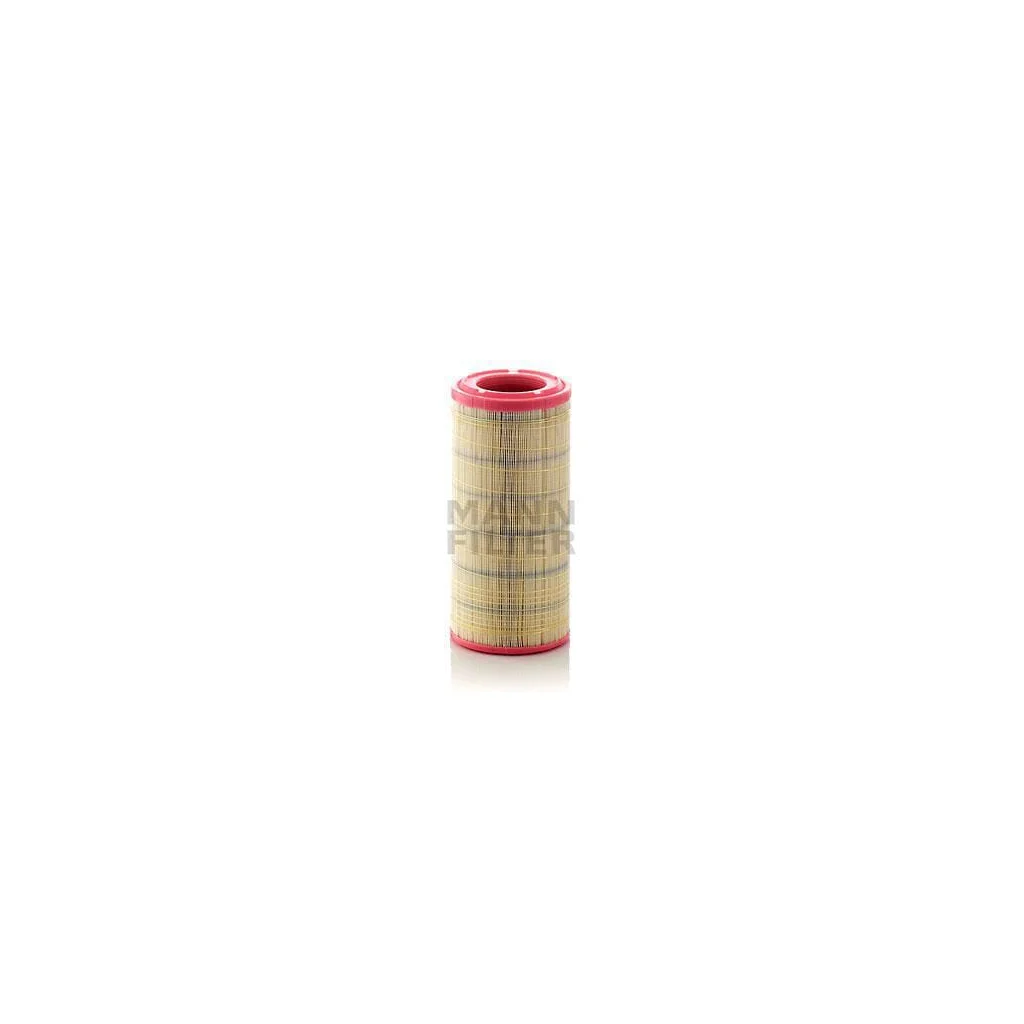 Element filtru de aer C173372