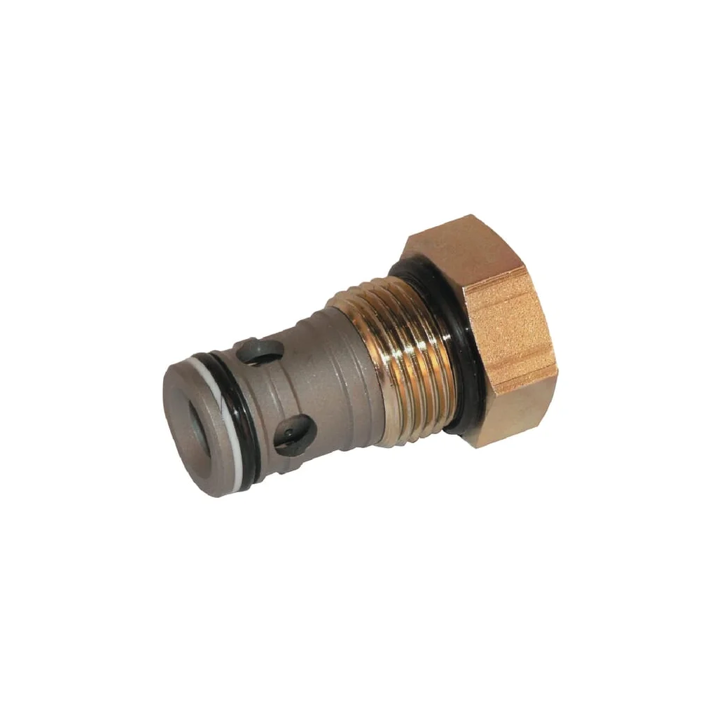 Supapă de reținere CP101-1-B-0-005 CP1011B0005