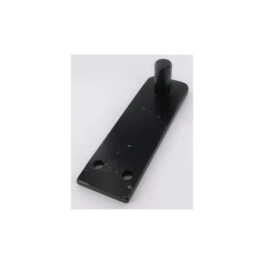 Placă 25,7x10mm CP486308