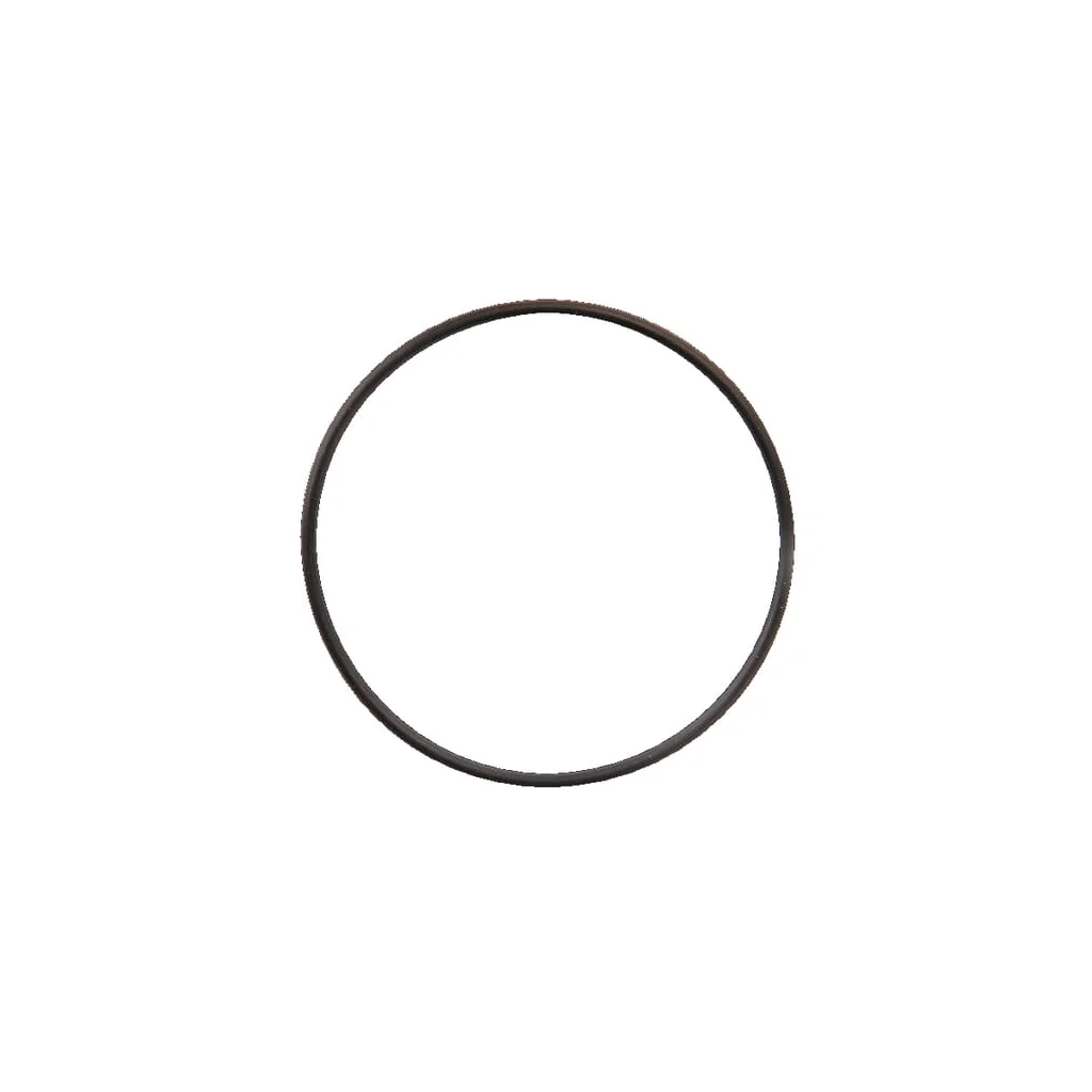 O-ring DOR041