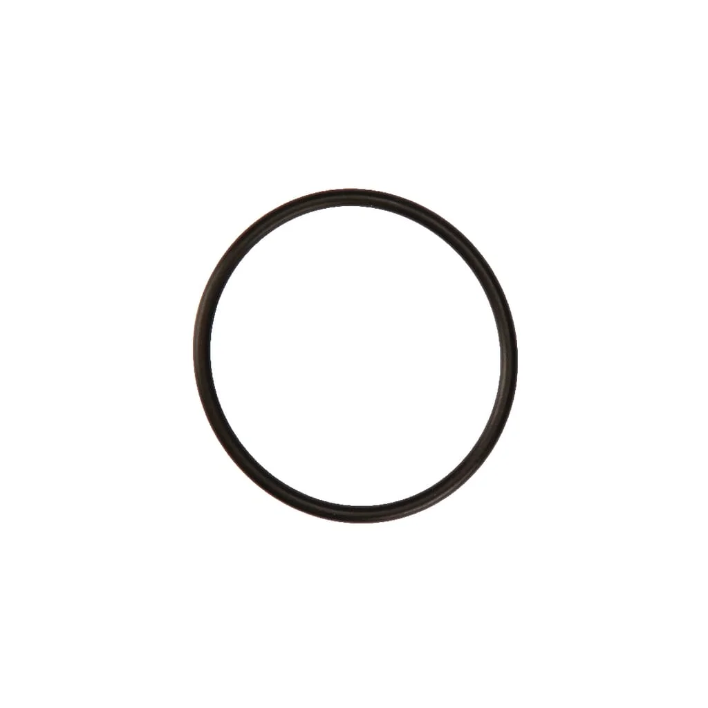 O-ring DOR081
