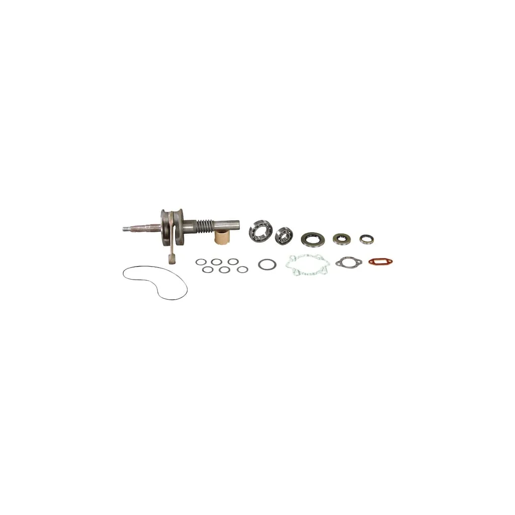 Arbore cotit complet E10541ASM