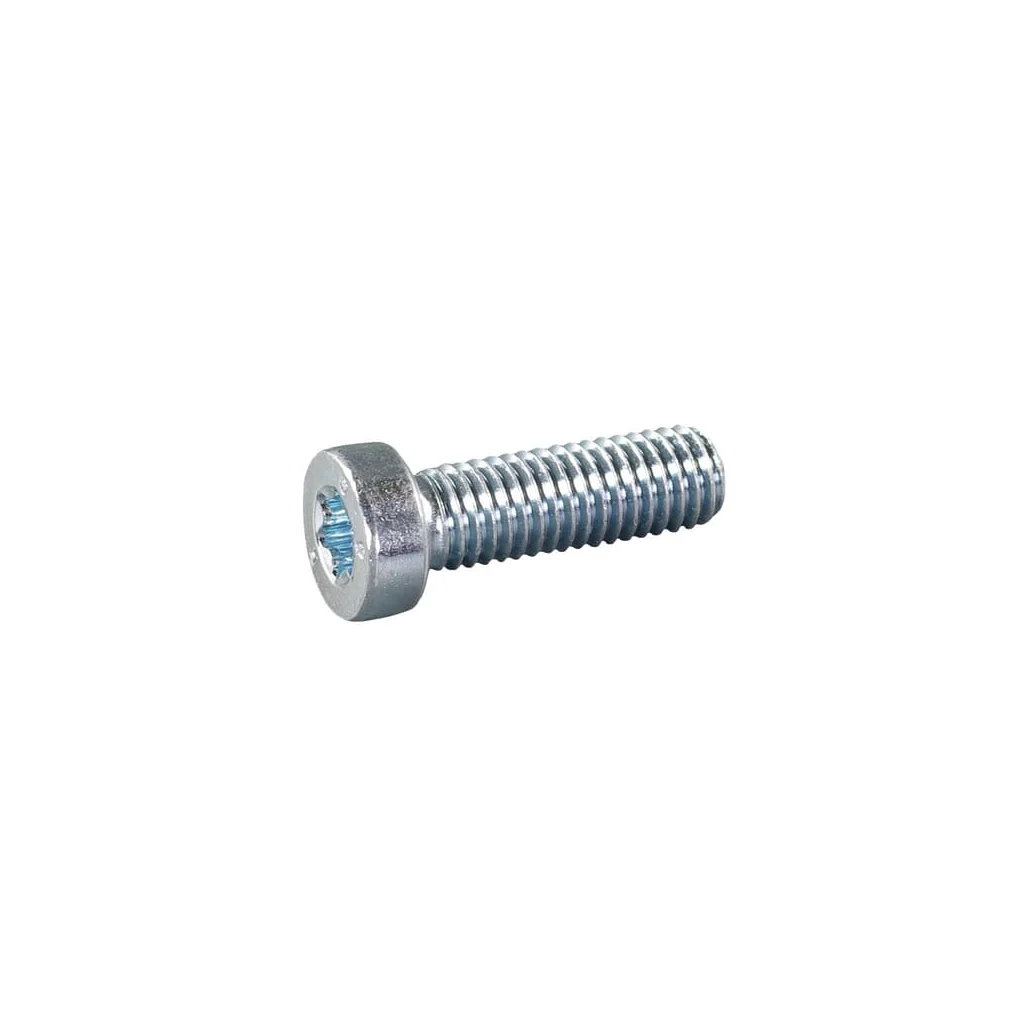 Şurub cilindric M8x25 E05833ASM