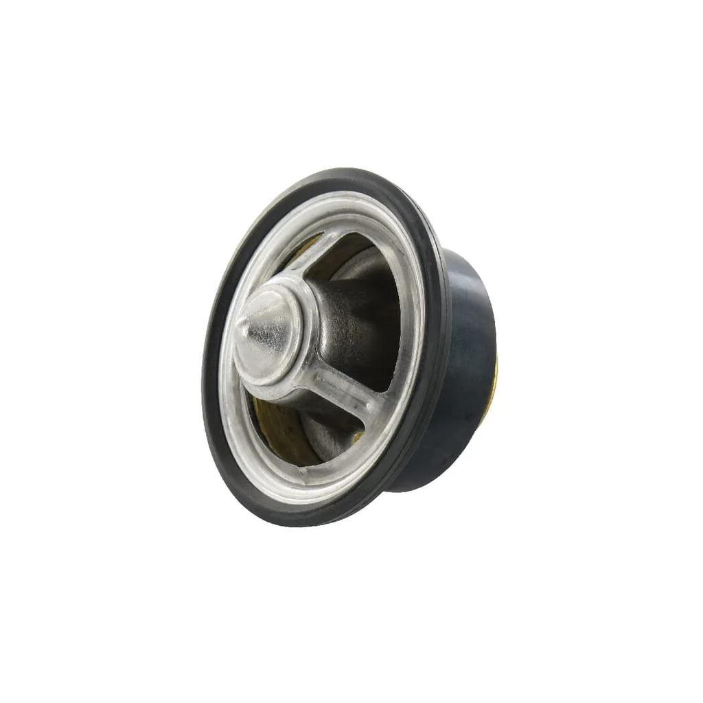 Termostat DZ100553