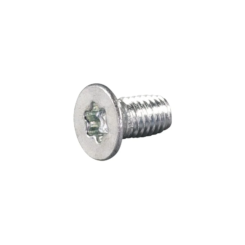 Șurub 5x10 cu Torx E05451ASM