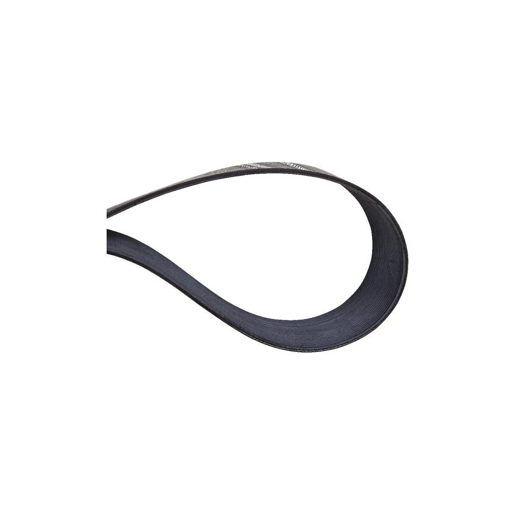 Curea cu caneluri 24 PJx1105 Amazone EG055