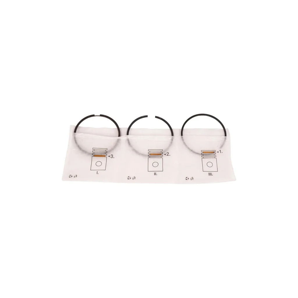 Set segment standard ED0082110560S