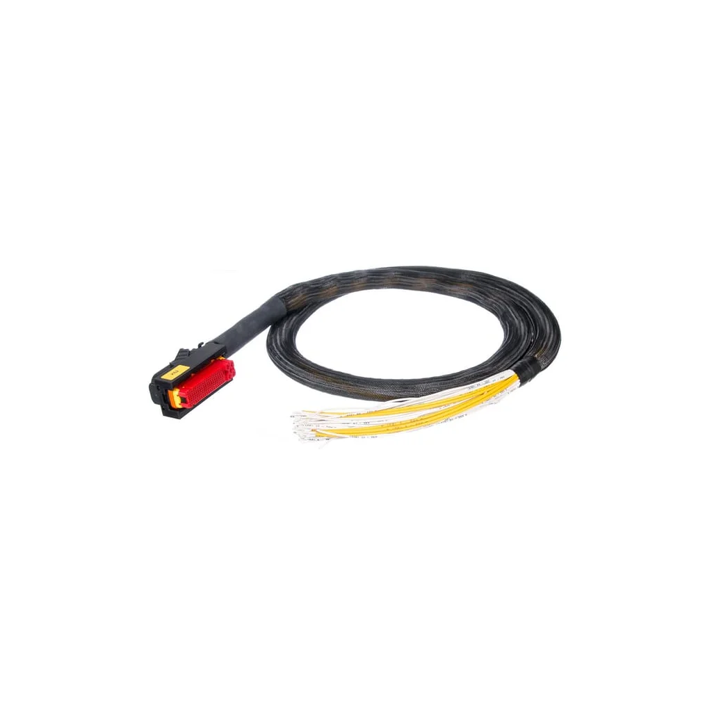 AMP 81-pol, cod (B), cu cablu ESX34055