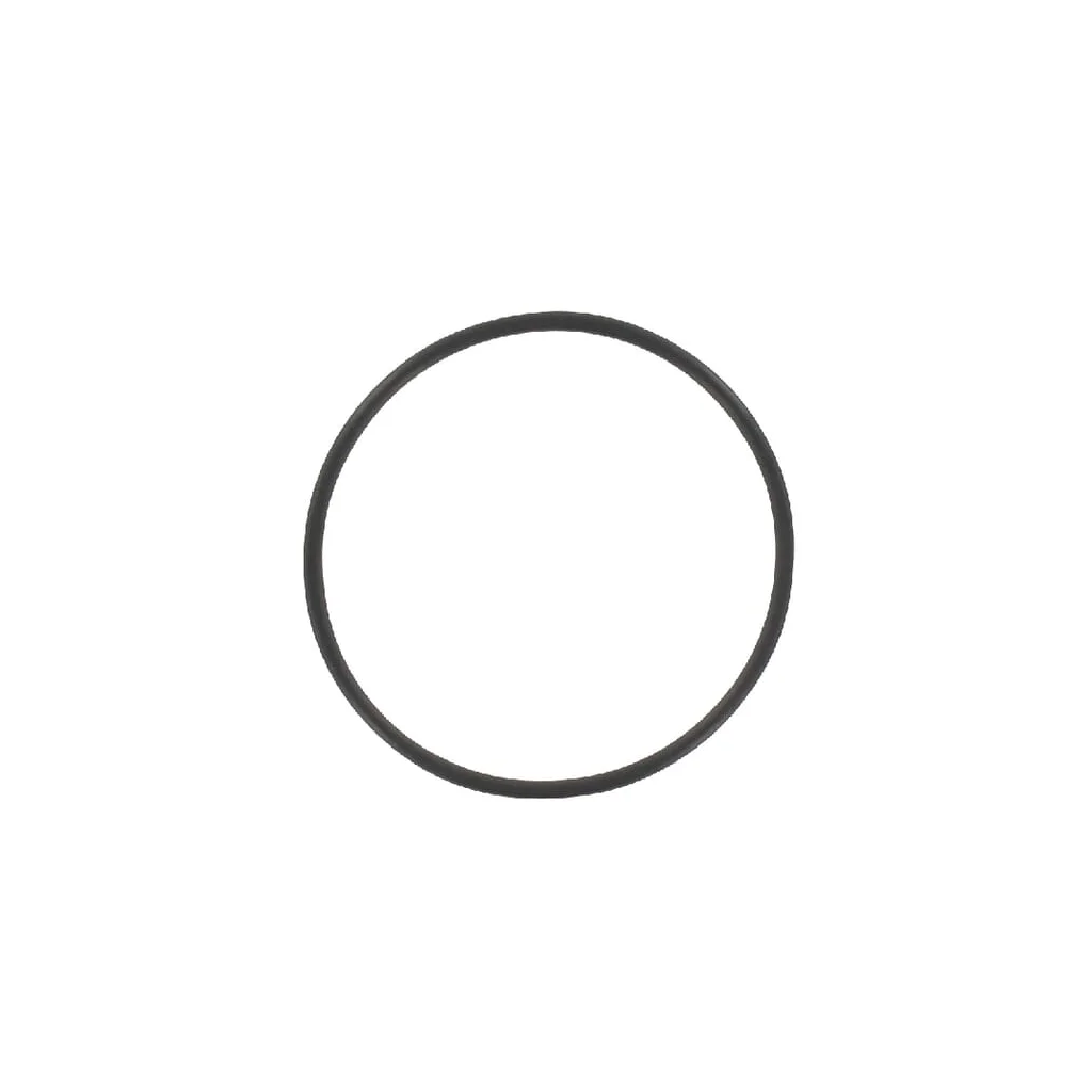 O-ring Maschio F03010522R