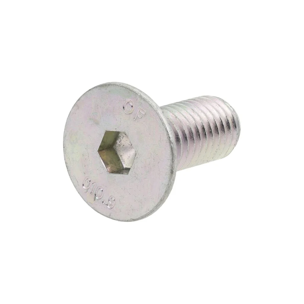 Şurub M10X1,5X25, 10,9 F01030084R