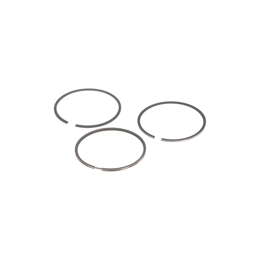Set segmenți piston F199204310030