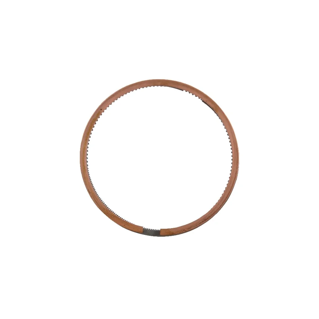 Set segmente piston F199204310020