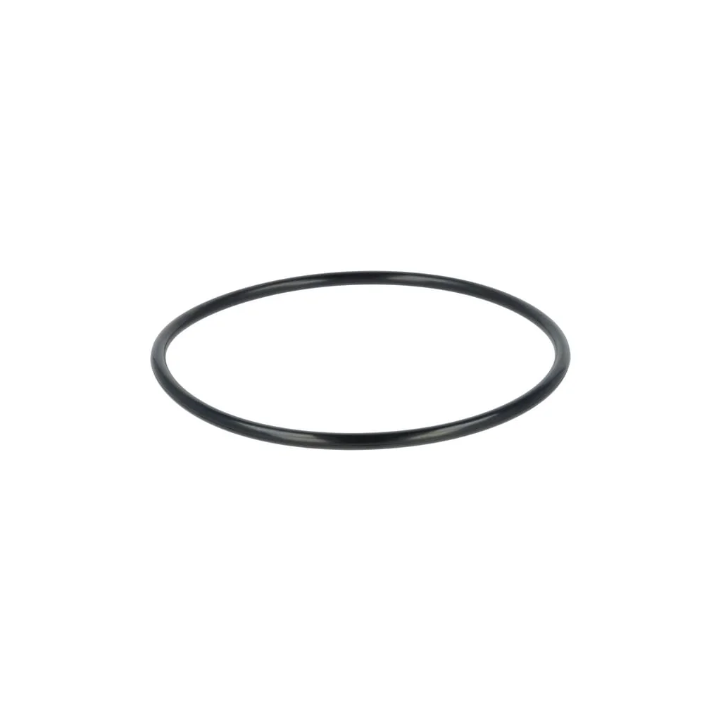O-ring F339860060010