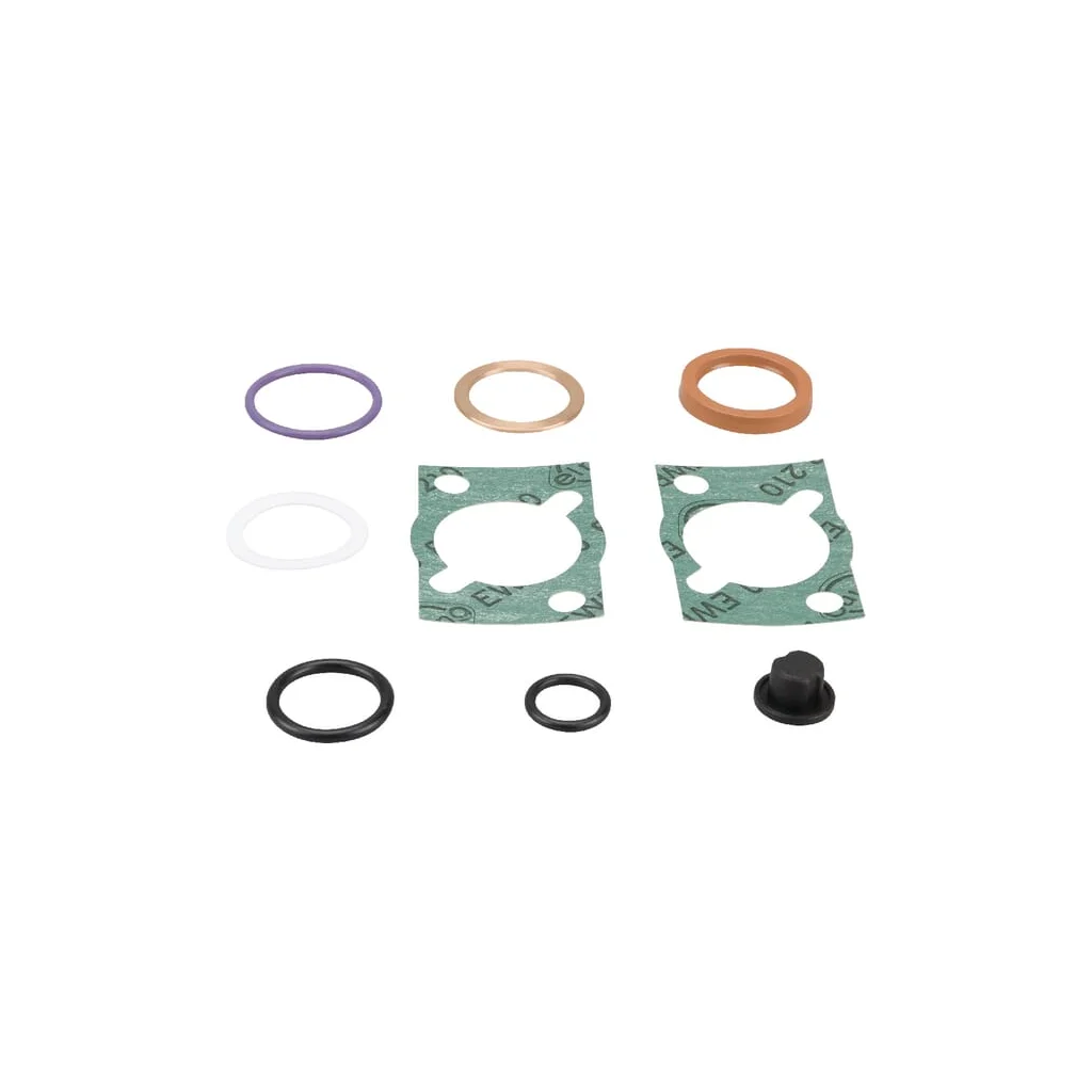 Set de garnituri F294100610010