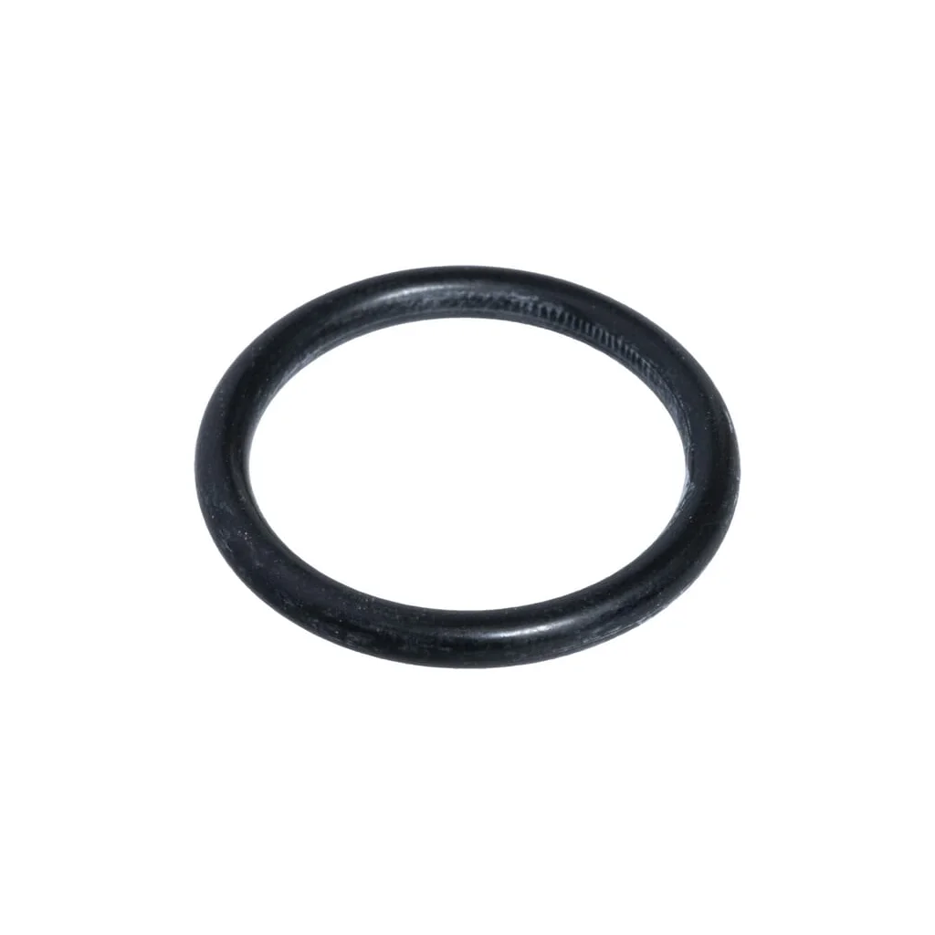 O-ring F514960100020