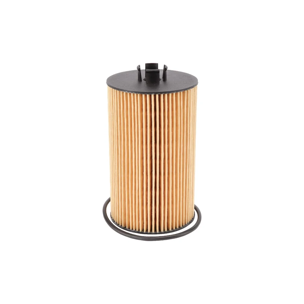 Filtru de ulei F836200510080