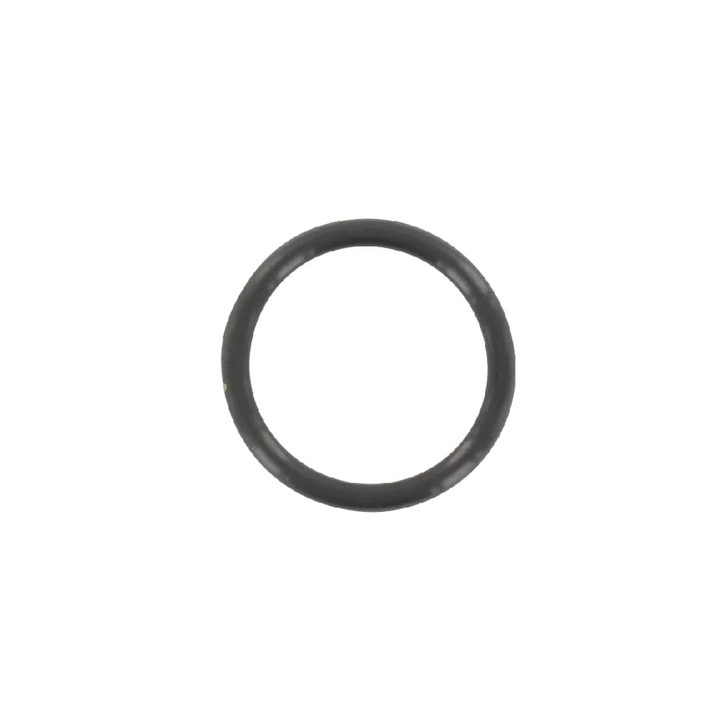 O-ring F3171R