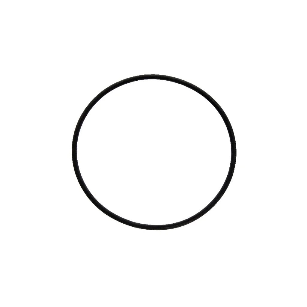 O-ring 172,00 x 6,00: 80 FKM FC253