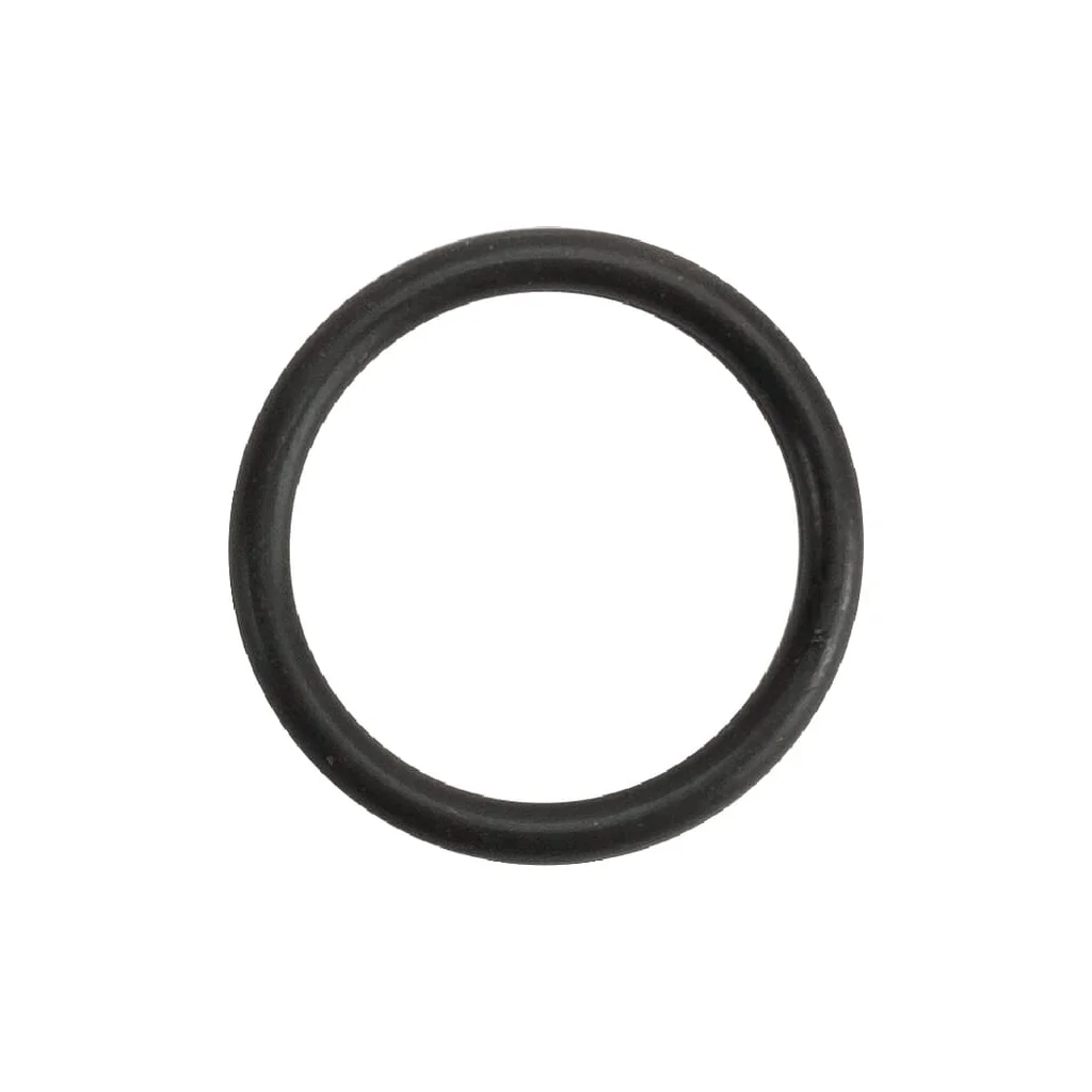 O-ring 20,29X2,62, FKM 80 FC140