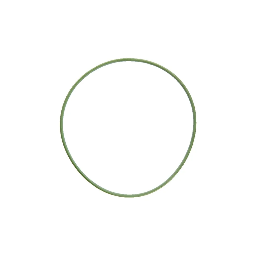 O-ring 100x2,5mm 70 FKM Amazone FC022