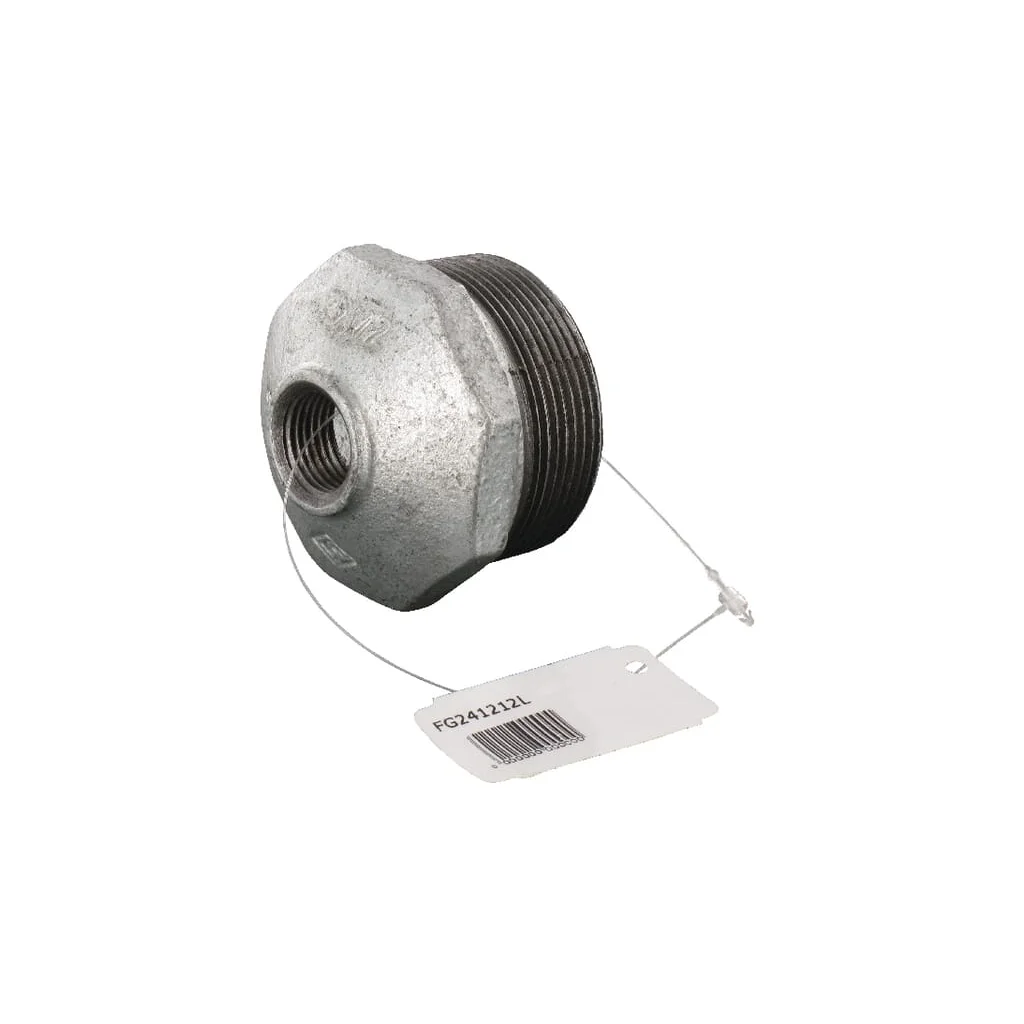 Adaptor tată/mamă 2 "x1/2" FG241212L