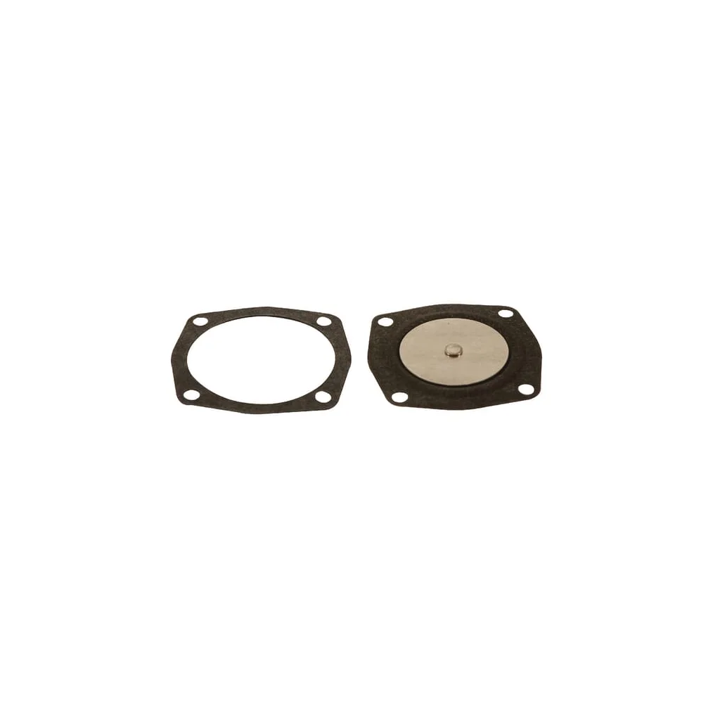 Membrane FGP001321
