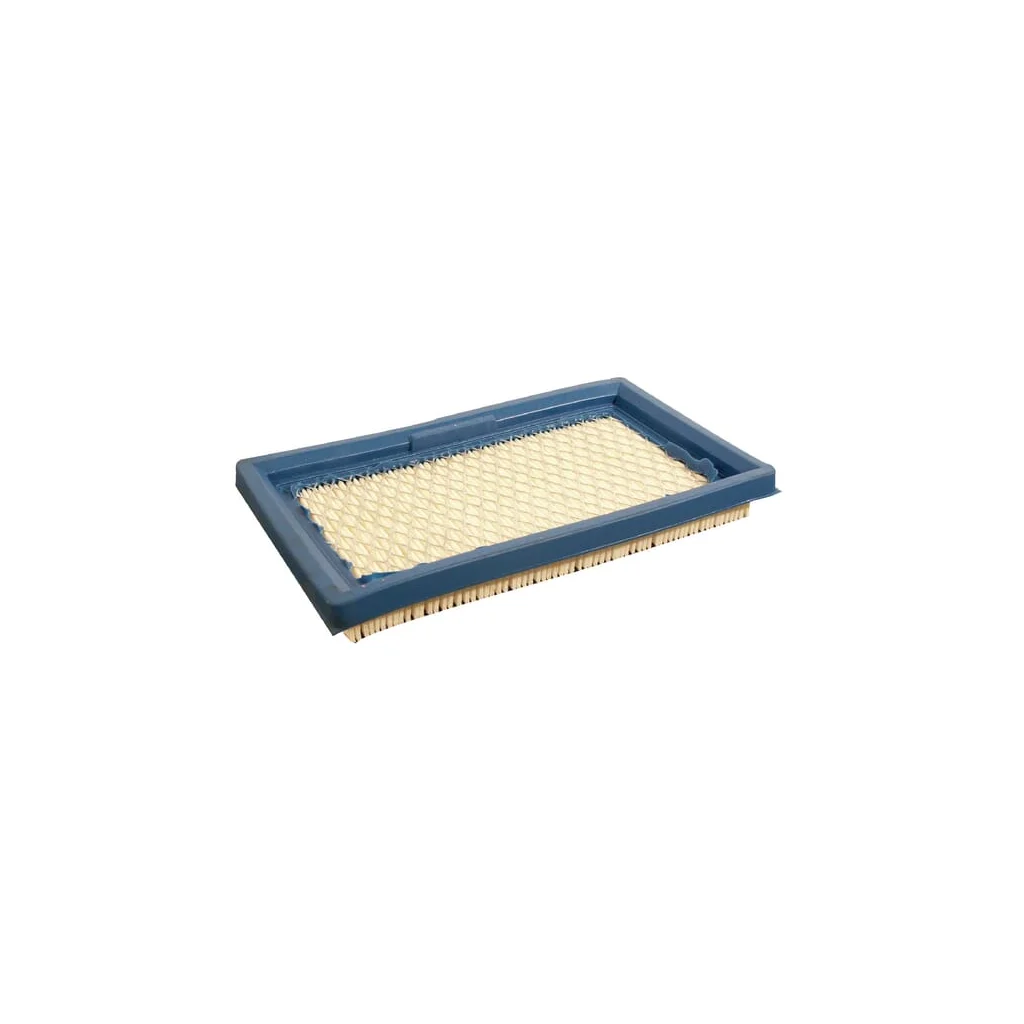 Filtru aer Lawn-Boy FGP011796