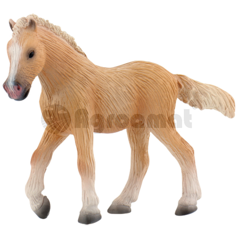 Manz Palomino