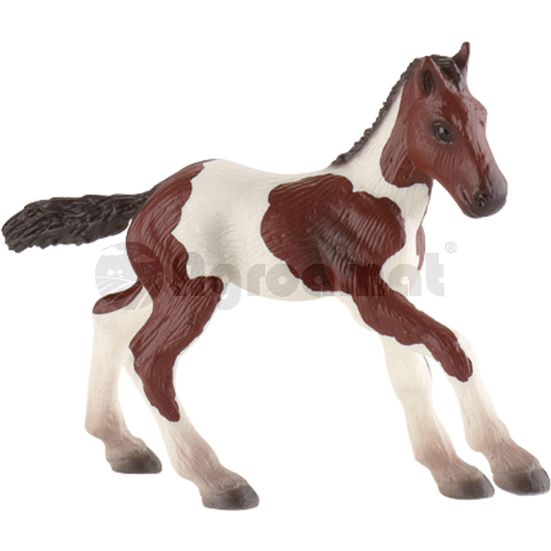 Manz Quarter Horse