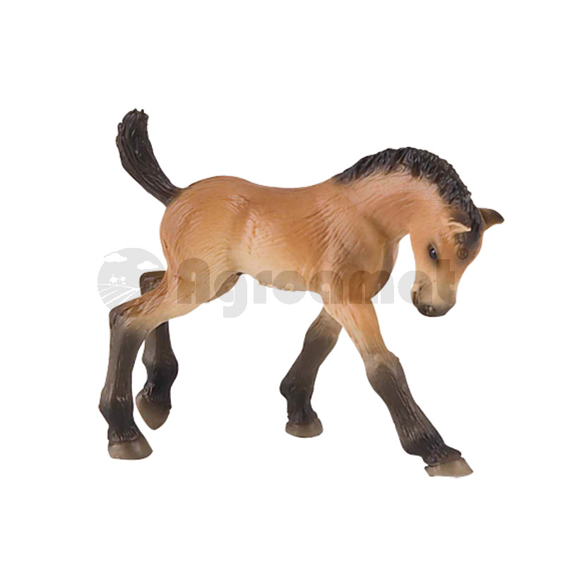 Manz Trakehner