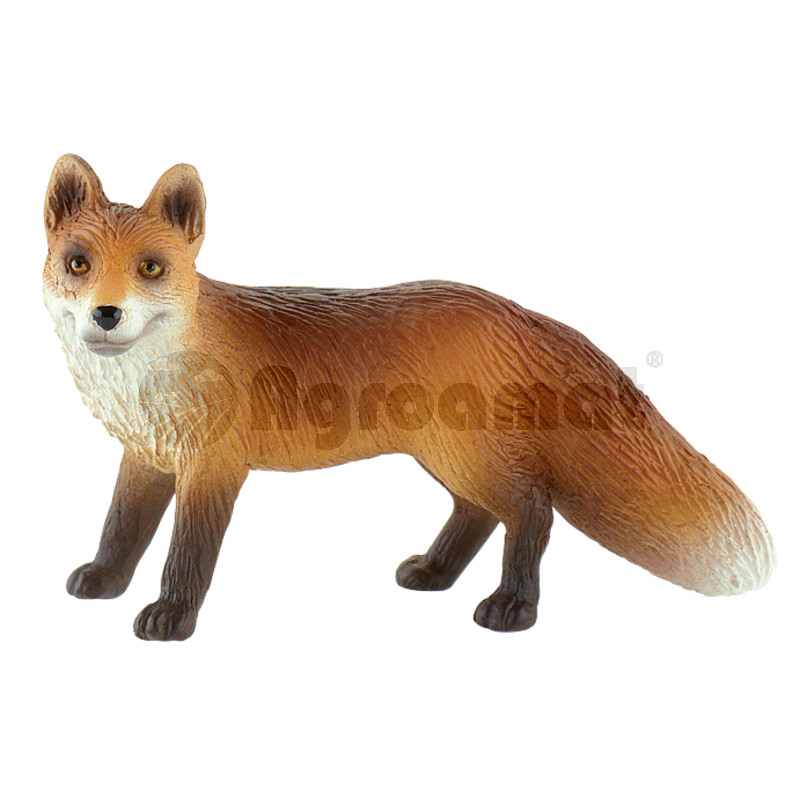 Vulpe