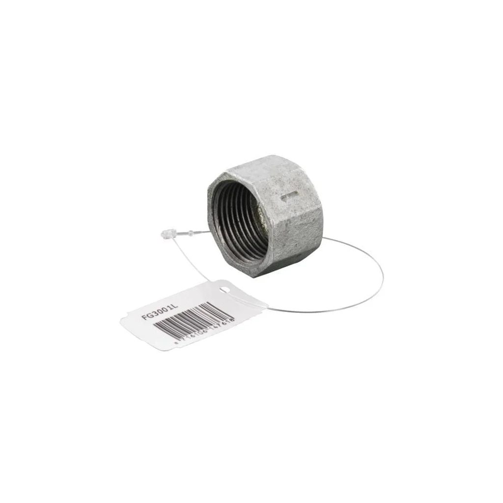Capac hexagonal galv. 1" FG3001L