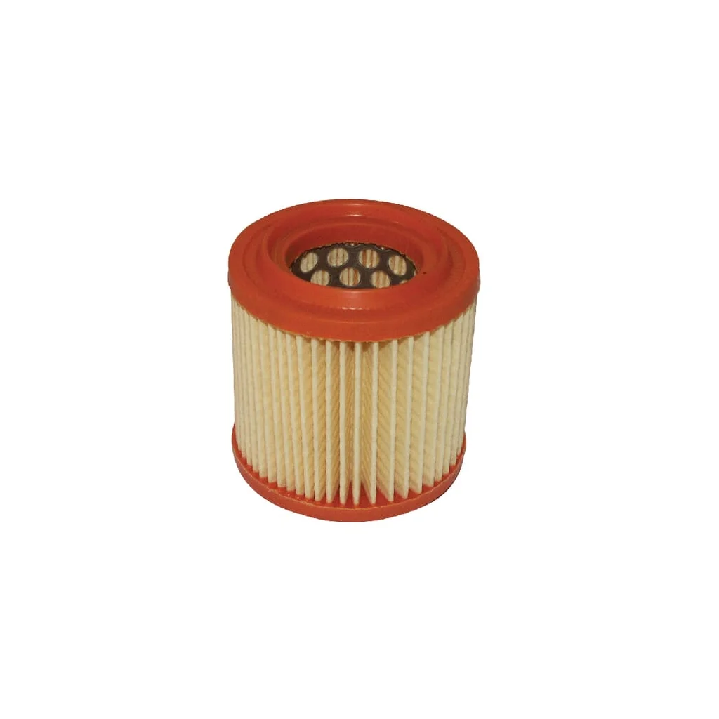 Filtru de aer FGP013889