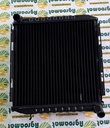 Radiator 04438384