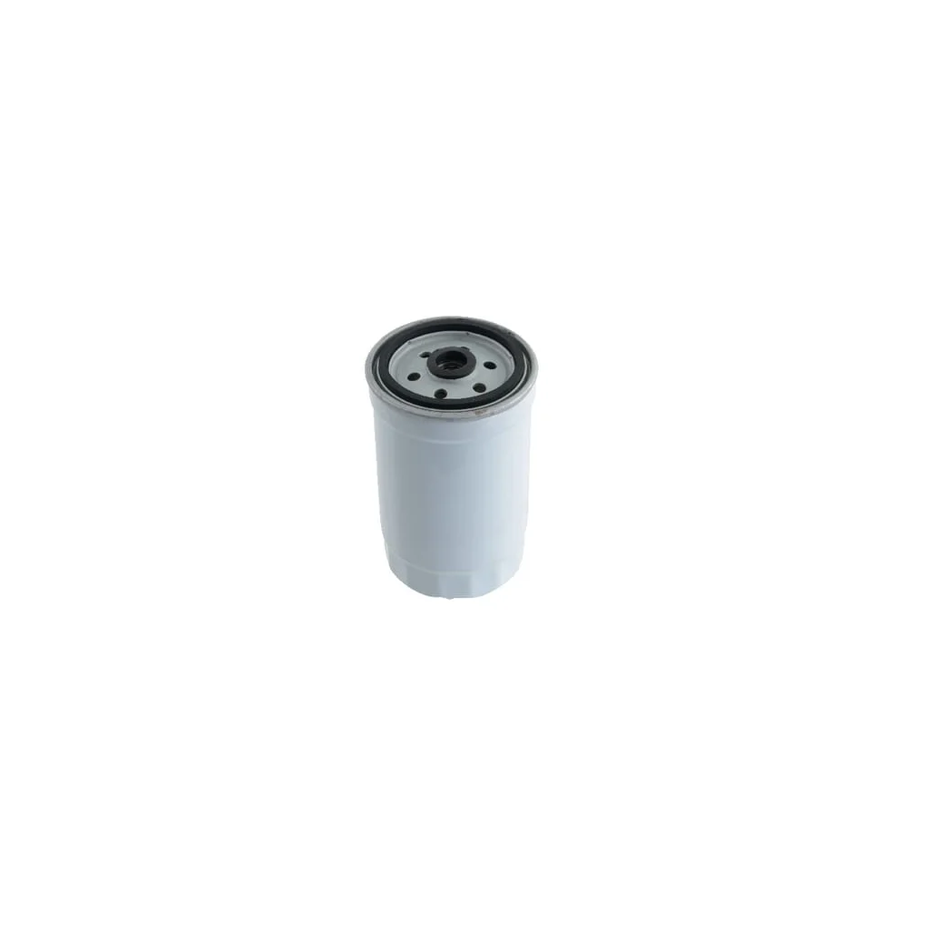 Filtru de combustibil potrivit pentru Belarus FT0201117010N