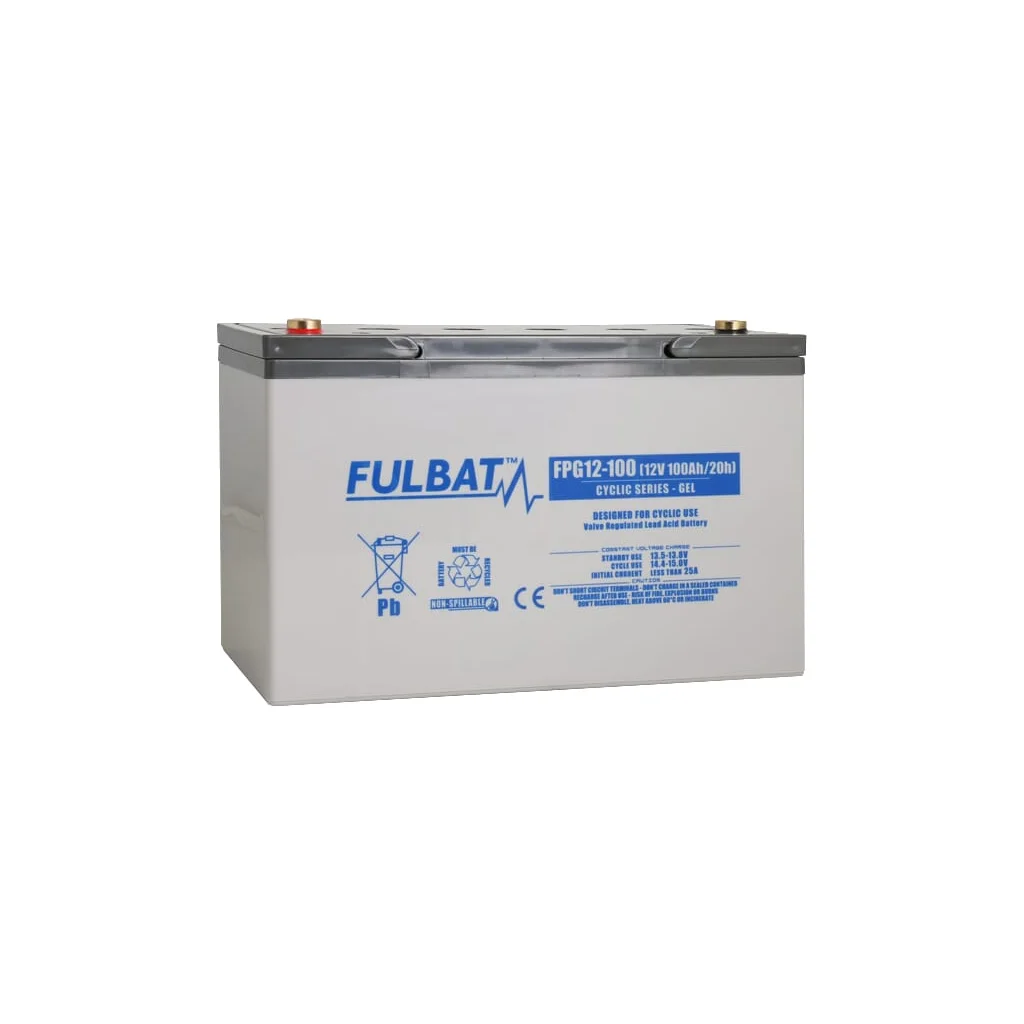 Baterie gel 12V 100Ah FPG12100