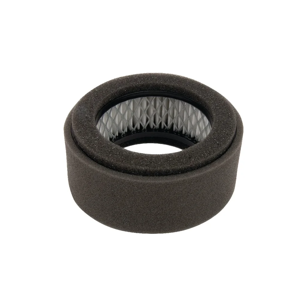 Filtru de aer pentru Robin FGP430063