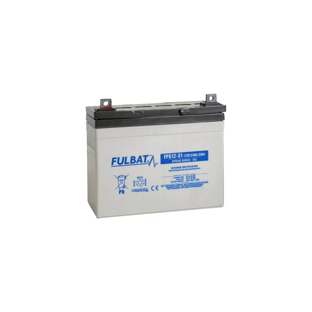 Baterie gel 12V 31Ah FPG1231