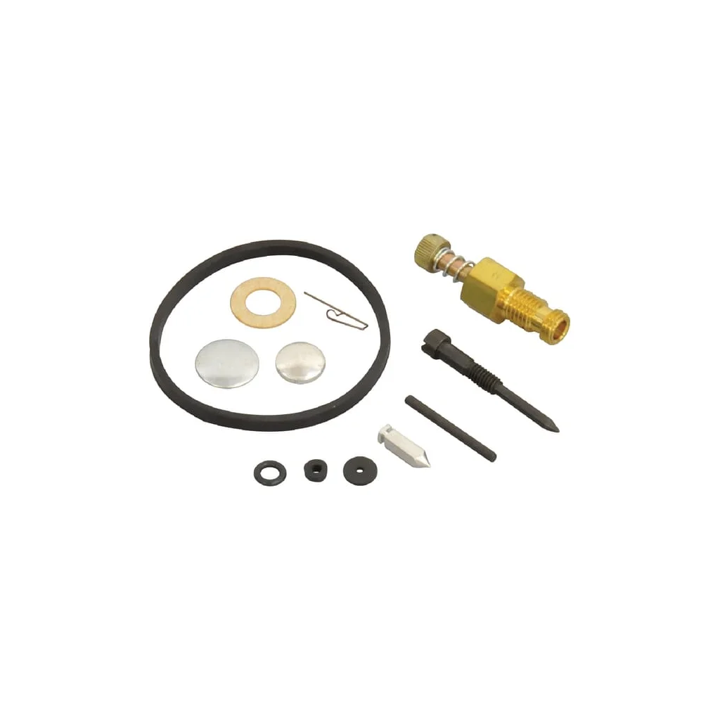 Set de reparare carburator pentru Tecumseh FGP430101