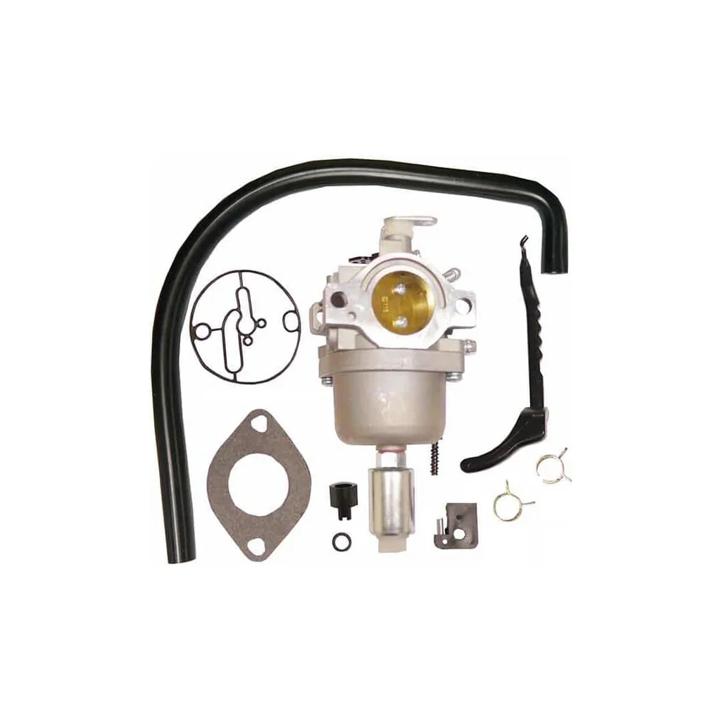 Carburator, potrivit pentru Briggs &amp, Stratton 799727 FGP456484