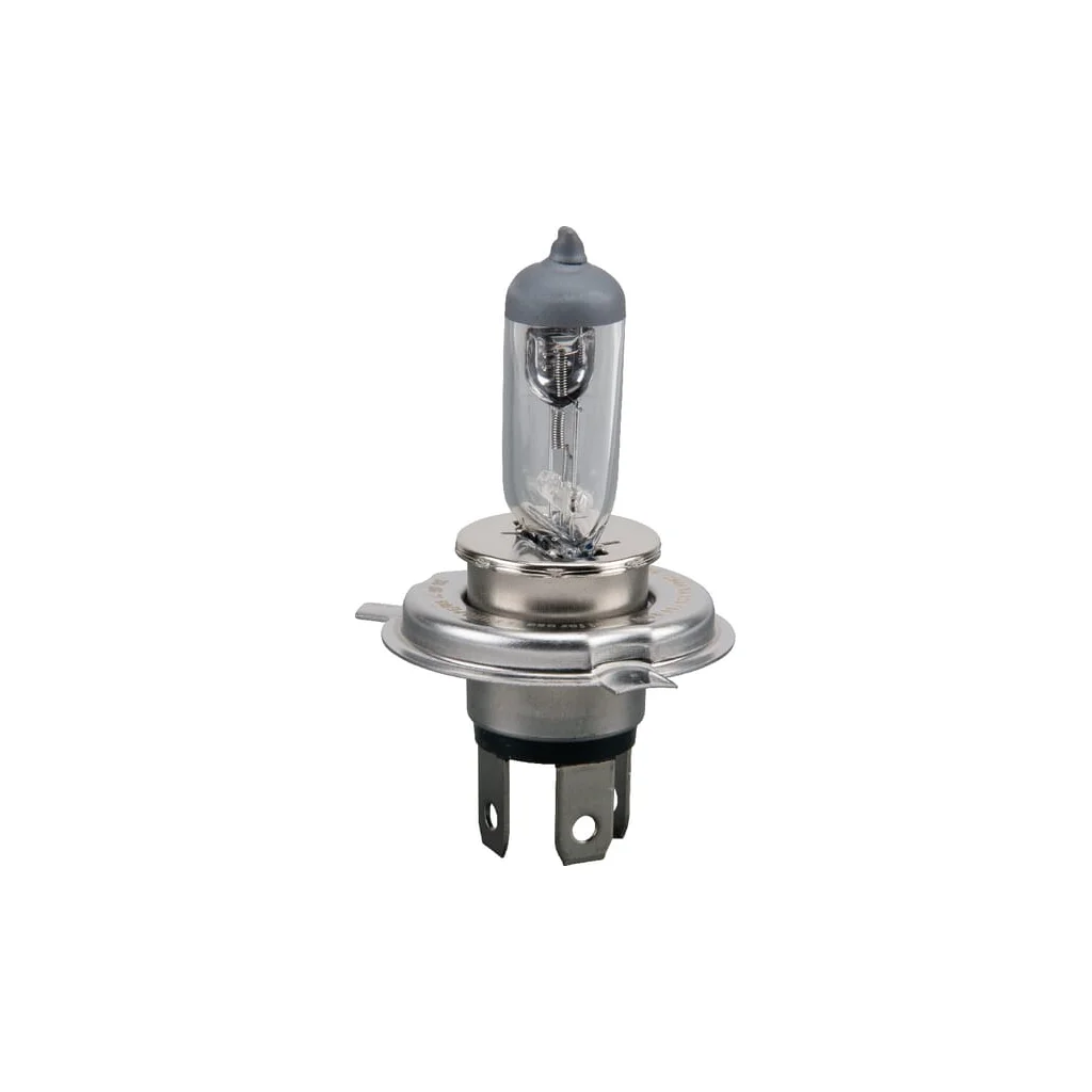 Bec 12V 100W/90W P43t Philips GL12569RAC1