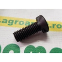 Surub plug cap oval 14x40