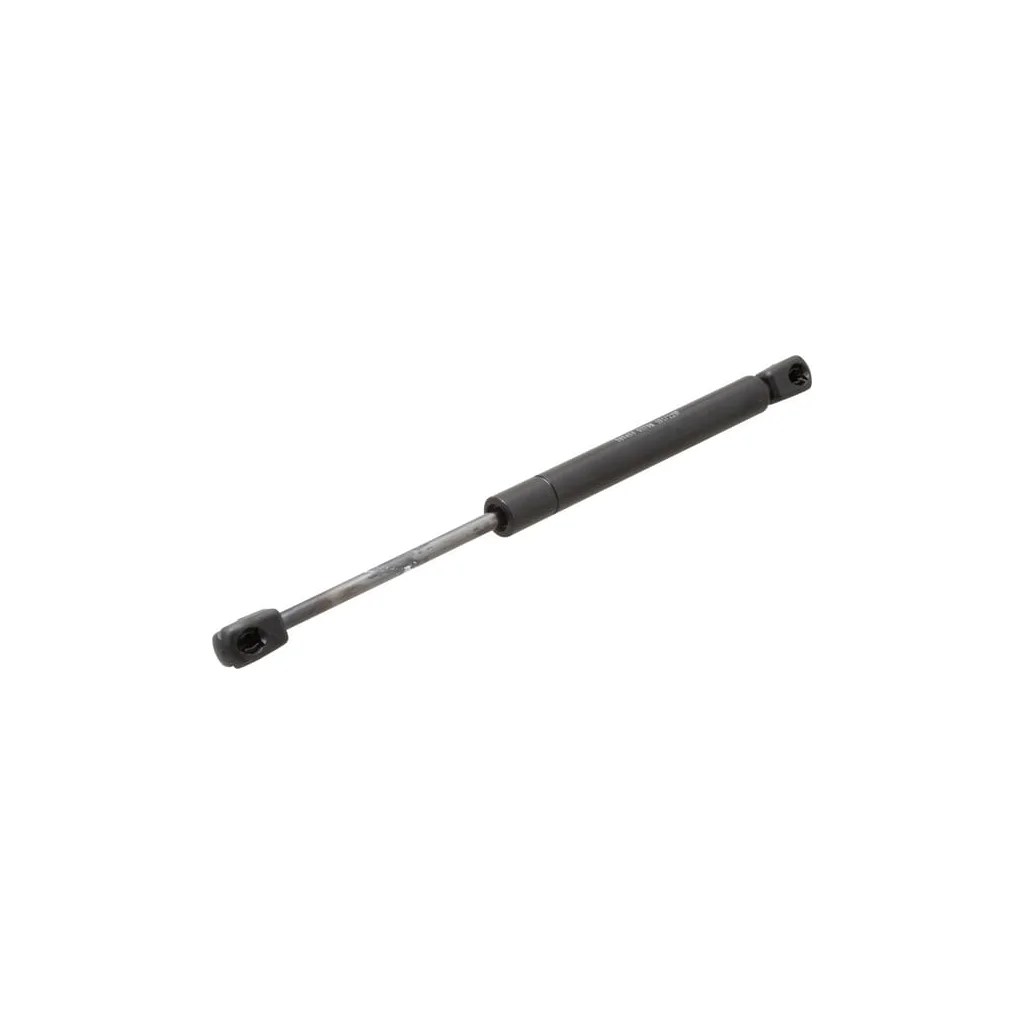 Amortizor gaz H816810030500