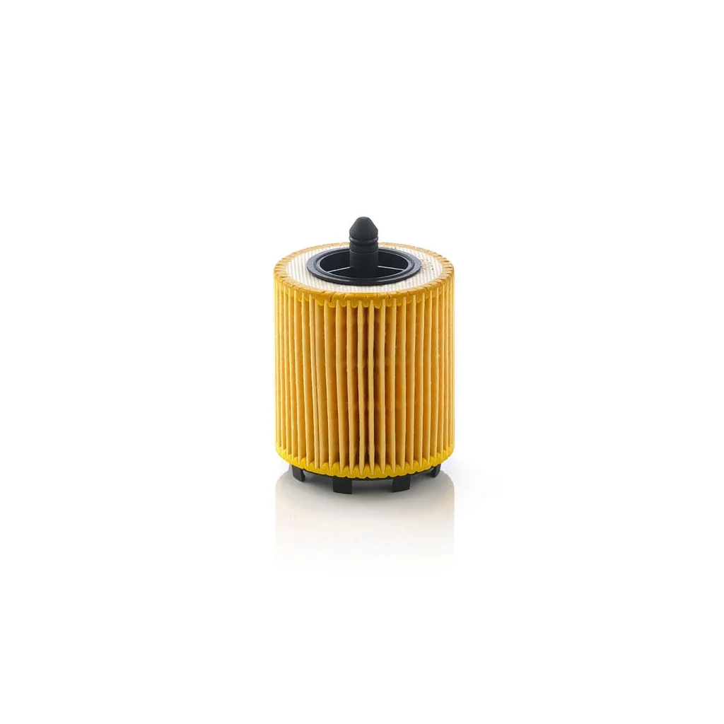 Filtru ulei HU6007X