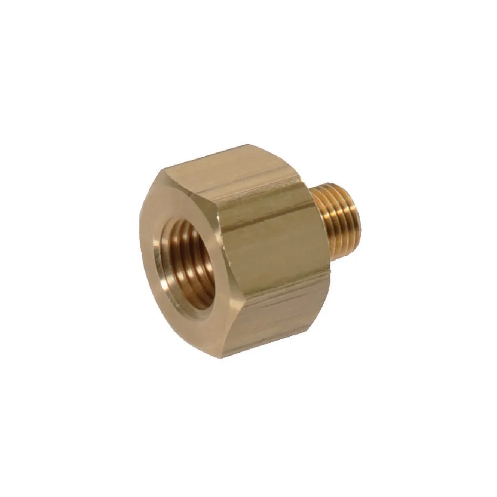 Adaptor IG/AG 1/4 18NPTF-M10x1 I00093