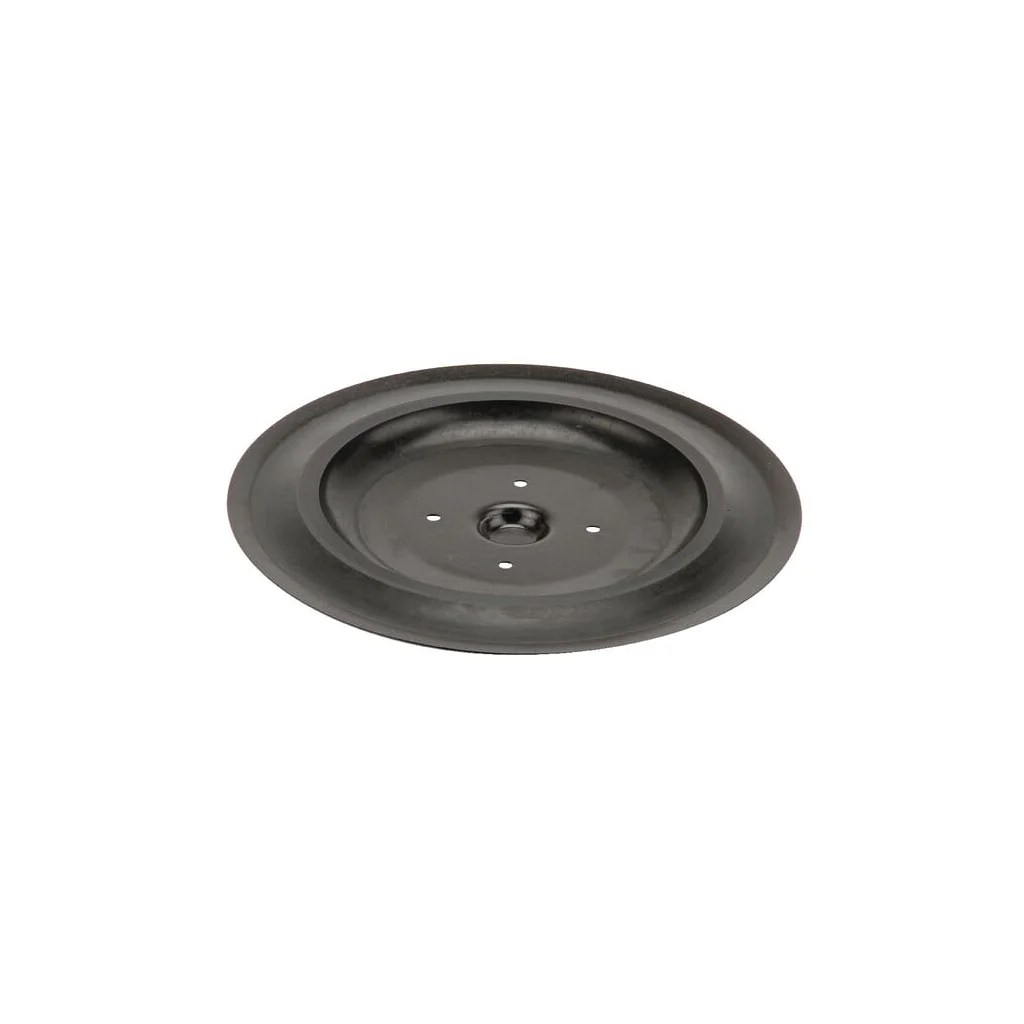 Disc de plug Ø300mm K3000080