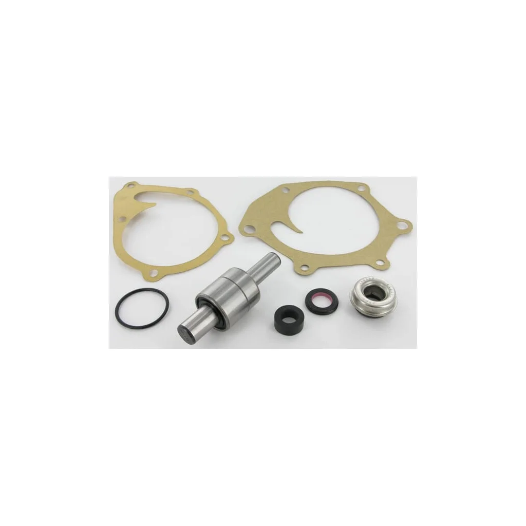 Kit reparație pompă de apă potrivit pentru David Brown K965888N