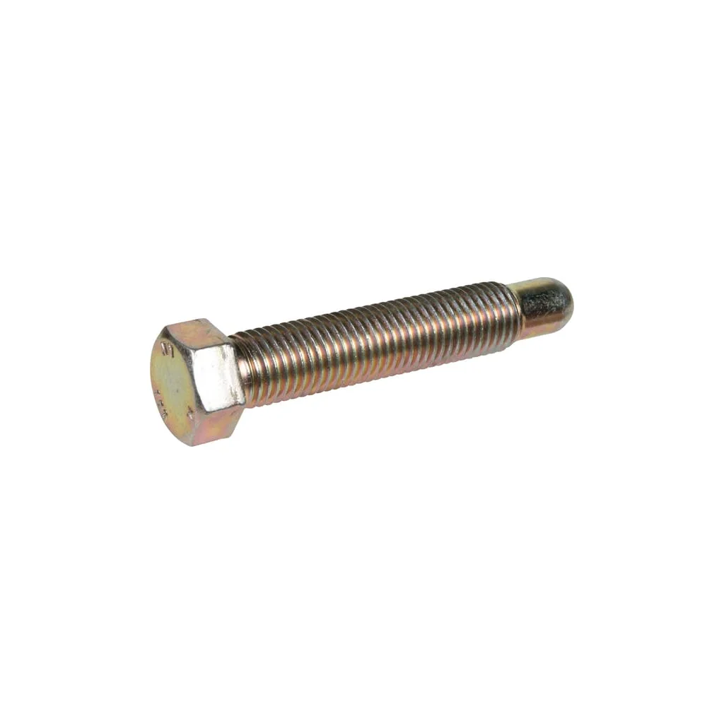 Șurub reglare M20x110mm galvanizat KK067049